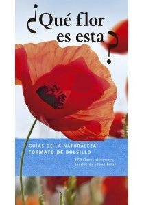 libreriasinopsis1127380