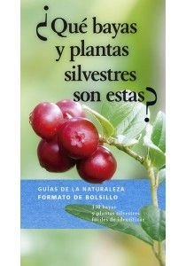 libreriasinopsis1127429