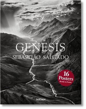 libreriasinopsis1317539