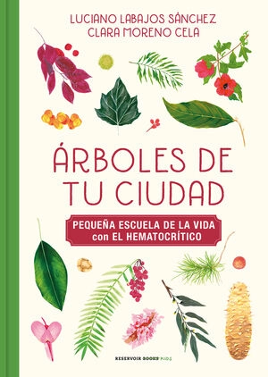 libreriasinopsis1376489