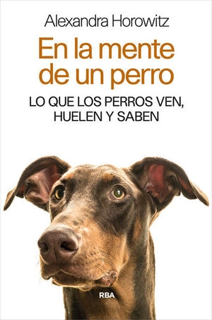 libreriasinopsis1487877
