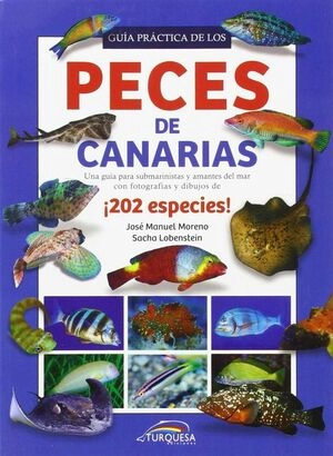 libreriasinopsis1497944