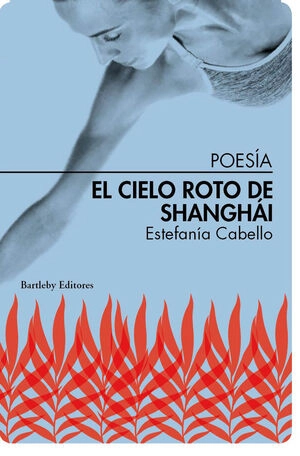 libreriasinopsis1762149