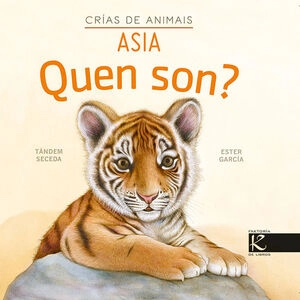 libreriasinopsis2033169