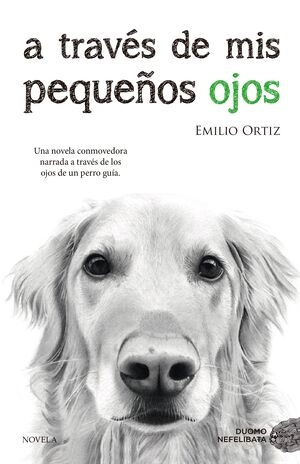 libreriasinopsis20373