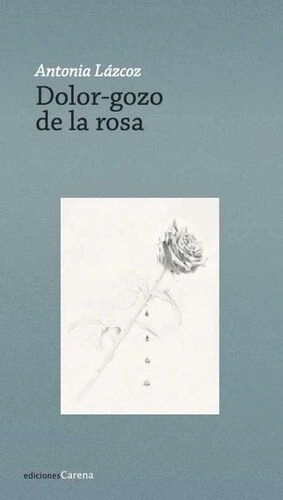 libreriasinopsis314543