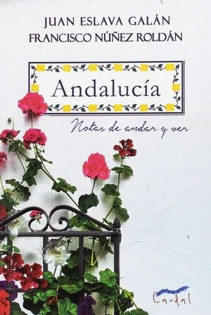 libreriasinopsis33268