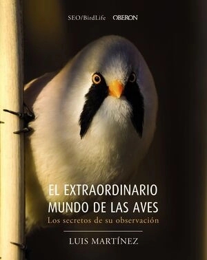 libreriasinopsis411767